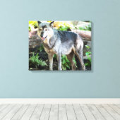 Gray Wolf Stehend alleine Leinwanddruck (Insitu (Holzboden))