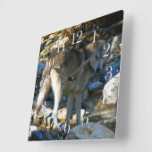 Gray Wolf & Stony Creek Foto Clock Quadratische Wanduhr (Winkel)