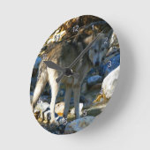 Gray Wolf & Stony Creek Foto Clock Runde Wanduhr (Winkel)
