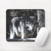 Gray Wolf Study Wildlife Supporter Mousepad (Mit Mouse)