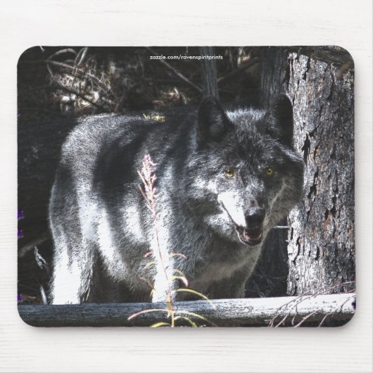 Gray Wolf Study Wildlife Supporter Mousepad (Vorne)
