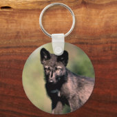 Gray Wolf-Summer-(Black-Phase) cub Schlüsselanhänger (Vorderseite)