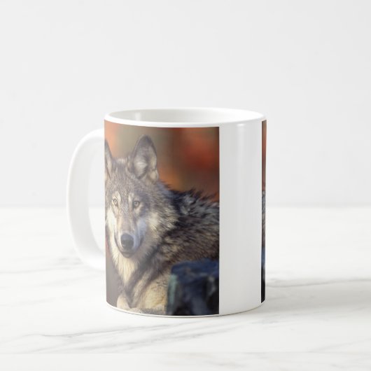Gray Wolf Tasse (Vorderseite Links)