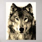 Gray Wolf Vintag Sepia Poster (Vorne)
