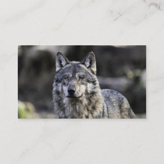 Gray Wolf Visitenkarte (Rückseite)