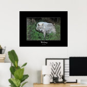Gray Wolf Wildlife-Fan Foto Portrait Poster (Heimbüro)