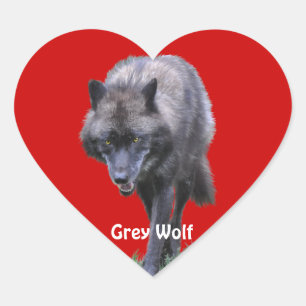 GRAY WOLF Wildlife Heart Sticker Collection