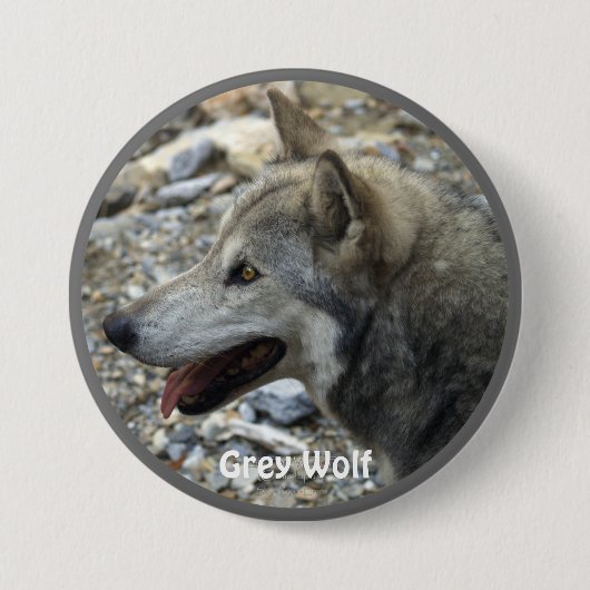 Gray Wolf Wildlife-lover Collector Abzeichen Button (Vorderseite)