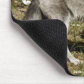 Gray Wolf Wildlife Mouse Pad Mousepad (Ecke)