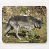 Gray Wolf Wildlife Mouse Pad Mousepad (Vorne)