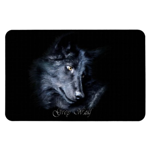 Gray Wolf Wildlife Portrait auf einem Flexi Magnet (Horizontal)