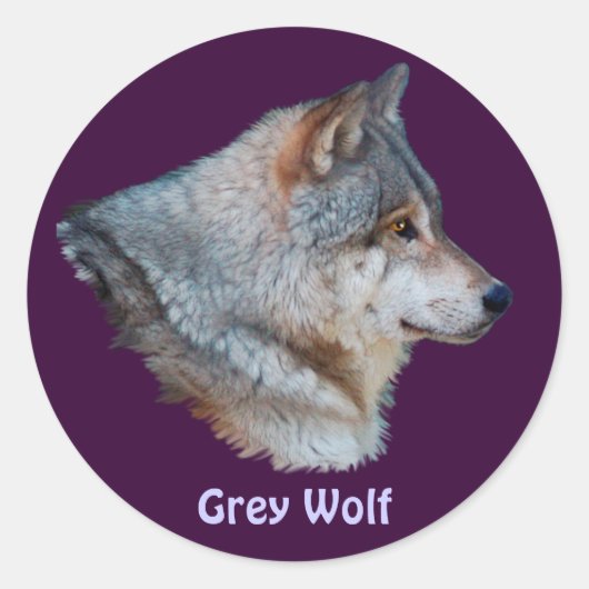 GRAY WOLF Wildlife Sticker Collection (Vorderseite)