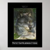 GRAY WOLF Wildlife Support Poster (Vorne)