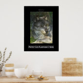 GRAY WOLF Wildlife Support Poster (Küche)