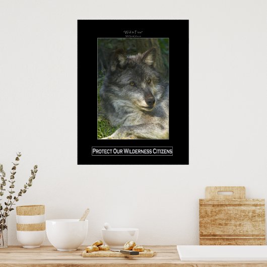 GRAY WOLF Wildlife Support Poster (Küche)