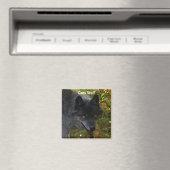 GRAY WOLF Wildlife Supporter Art Magnet (In Situ (Geschirrspüler))