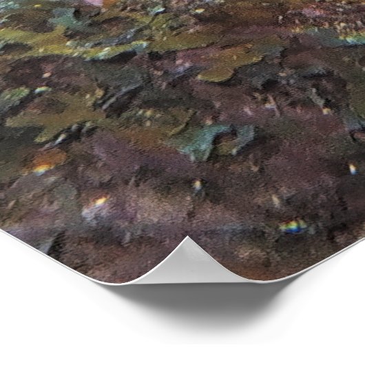 Graysby Poster (Ecke)