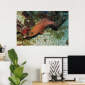 Graysby Poster (Heimbüro)