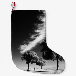 GRAYSCALE FOTO DER PERSON AUF DER STRASSE ZWISCHEN KLEINER WEIHNACHTSSTRUMPF