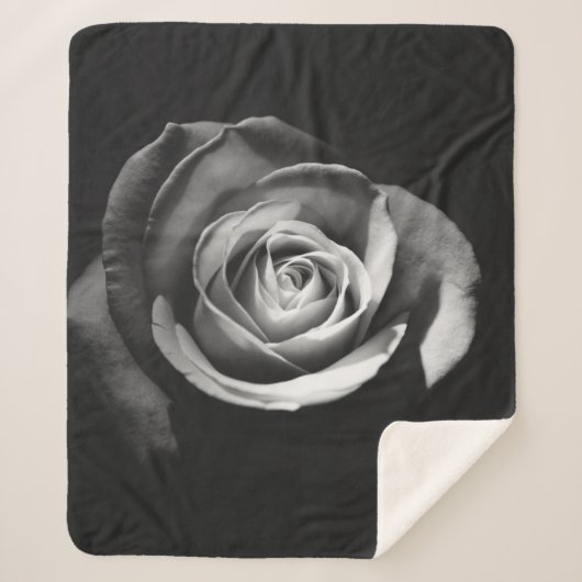 GRAYSCALE FOTO DER ROSE SHERPADECKE (Vorderseite)