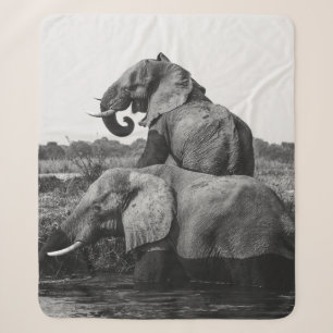 GRAYSCALE FOTO VON ZWEI ELEFANTEN AUF WASSERKÖRPER SHERPADECKE