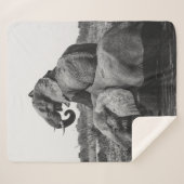 GRAYSCALE FOTO VON ZWEI ELEFANTEN AUF WASSERKÖRPER SHERPADECKE (Vorderseite (Horizontal))