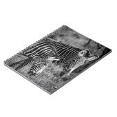 GRAYSCALE FOTO ZEBRAS NOTIZBLOCK (Linke Seite)