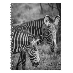 GRAYSCALE FOTO ZEBRAS NOTIZBLOCK