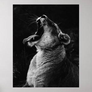GRAYSCALE FOTOGRAFIE DER YAWNING LIONESS POSTER