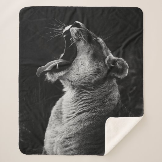 GRAYSCALE FOTOGRAFIE DER YAWNING LIONESS SHERPADECKE (Vorderseite)
