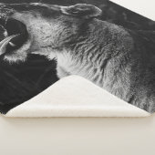 GRAYSCALE FOTOGRAFIE DER YAWNING LIONESS SHERPADECKE (3/4)