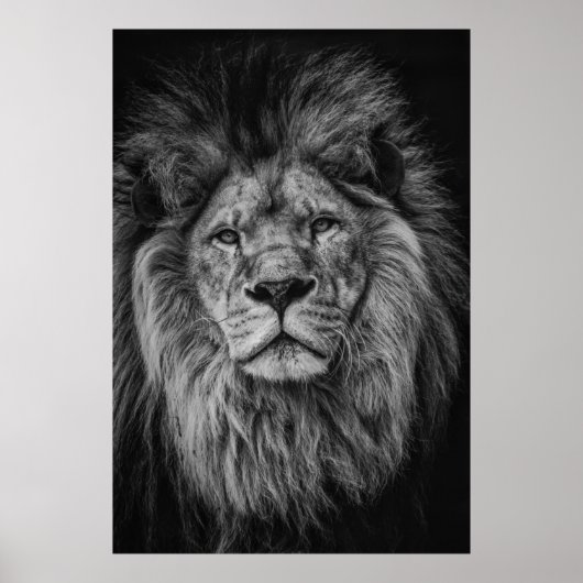 GRAYSCALE FOTOGRAFIE VON LION POSTER (Vorne)
