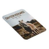 Grayson Highlands Staat Park Virginia Magnet (Rechte Seite)