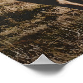 Grayson Highlands Staat Park Virginia Poster (Ecke)
