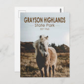 Grayson Highlands Staat Park Virginia Postkarte (Vorne/Hinten)