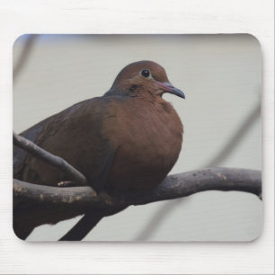 Grayson's Dove Mousepad