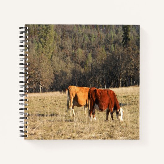 Grazin'... Notizblock (Vorderseite)