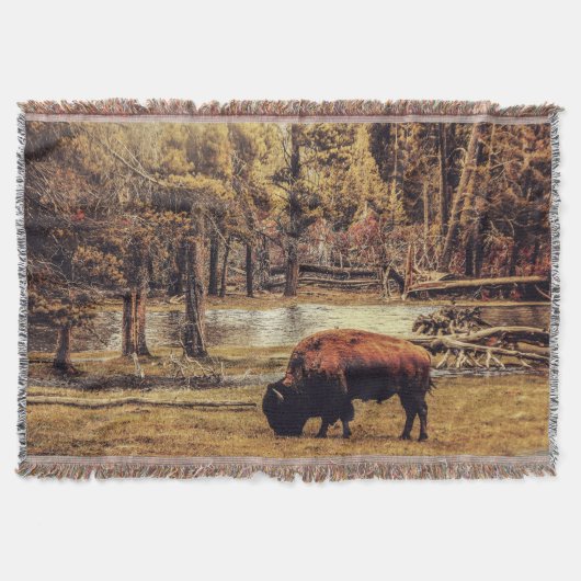 Grazing Buffalo Throw Blanket Decke (Vorderseite)