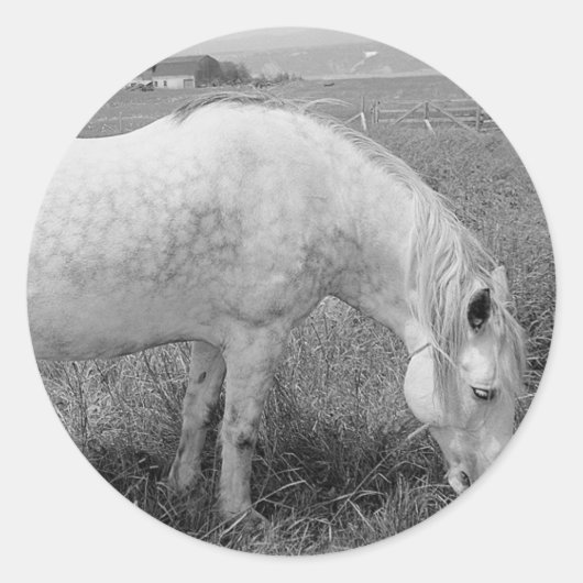 Grazing Dappled Gray Runder Aufkleber (Vorderseite)