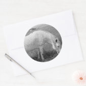 Grazing Dappled Gray Runder Aufkleber (Umschlag)