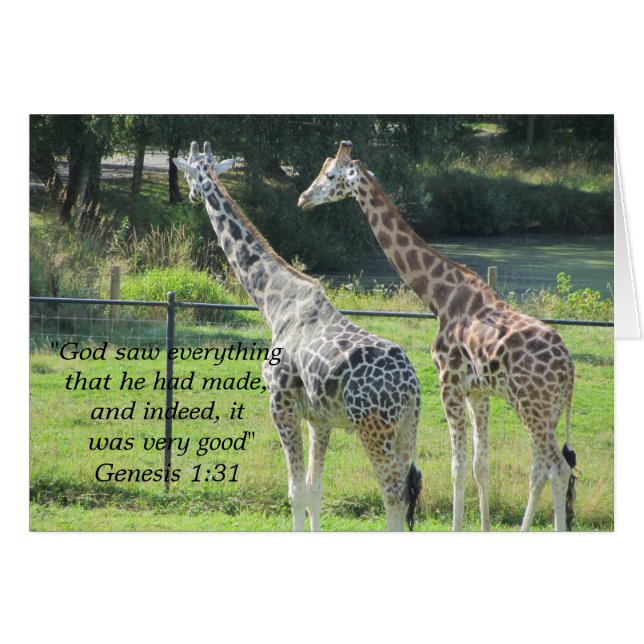 Grazing Giraffen mit Scripture Verse (Vorderseite (Horizontal))