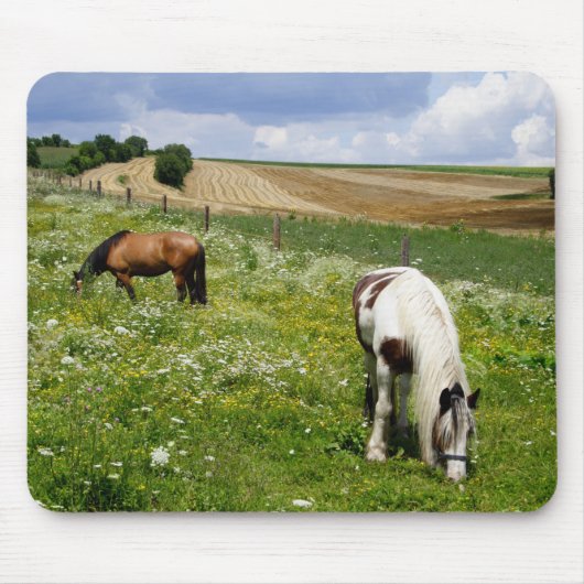Grazing horses mousepad (Vorne)