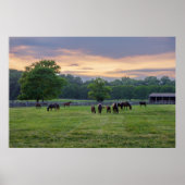 Grazing Horses Poster (Vorne)