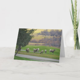 Grazing in Autumn Greeting Card Karte