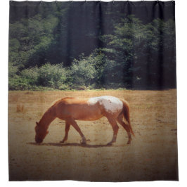 Grazing Palomino.... Duschvorhang