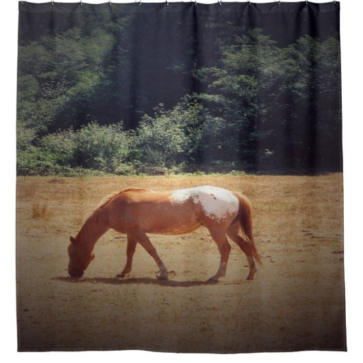 Grazing Palomino.... Duschvorhang (Vorderseite)