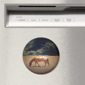 Grazing Palomino.... Magnet (In Situ (Geschirrspüler))