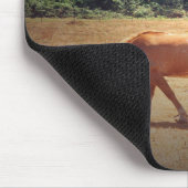 Grazing Palomino.... Mousepad (Ecke)
