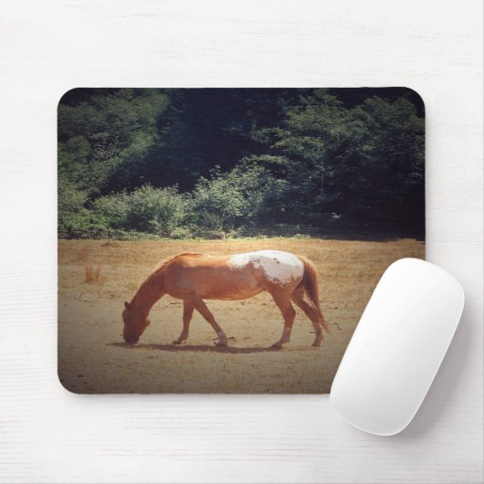 Grazing Palomino.... Mousepad (Mit Mouse)