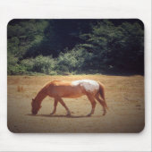 Grazing Palomino.... Mousepad (Vorne)